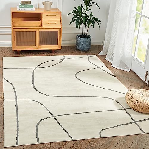 jinchan Abstract Rug Grey Gray Rug - Aesthetic Minimalist Indoor Floor Cover