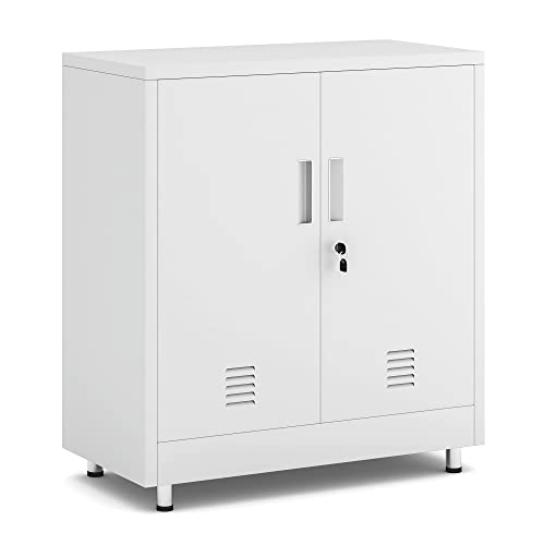JINGUR Metal Storage Cabinet with Locking Doors and Adjustable Shelf