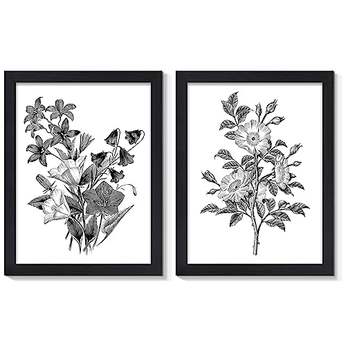 JOWOROLO Framed Vintage Botanical Prints