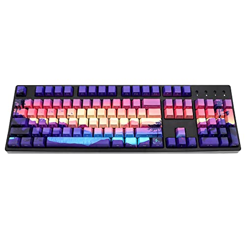 JSJT PBT Keycaps Side/Front Print Keycap Set OEM Profile Non-Backlit Thick Key Caps for Most 60% /87 TKL/104/108 /61 Cherry MX Switch Mechanical Keyboard(Multi-Color)