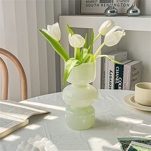 JSPYFITS Glass Hydroponic Flower Vase