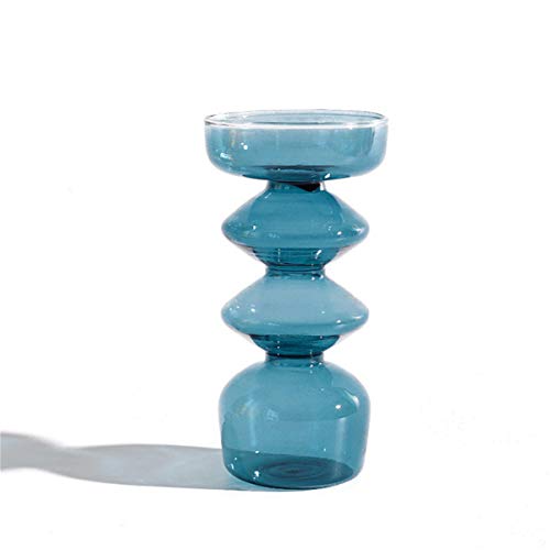 JSPYFITS Glass Hydroponic Vase - Small and Stylish