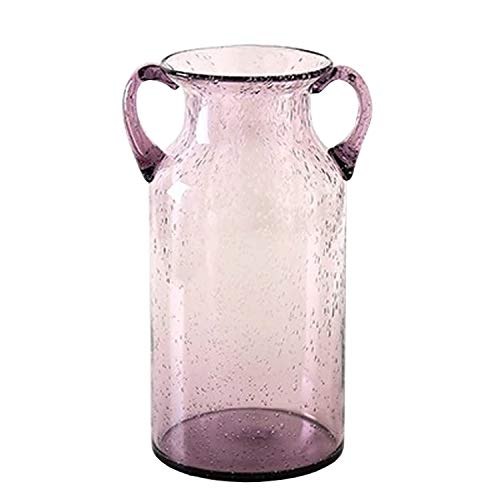 JSY-UP Large Clear Glass Vase with Double Ear