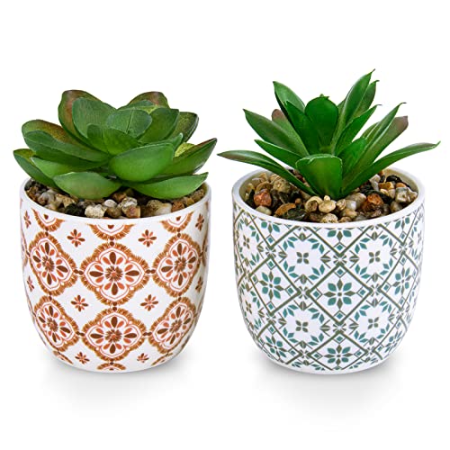 Karlliu Mini Succulent Flowers in Ceramic Pot