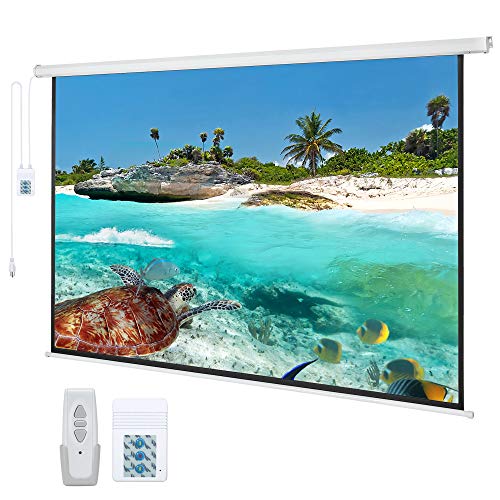 Kayle 120" Motorized Projector Screen