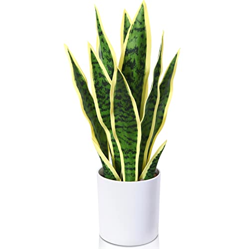 Kazeila Artificial Snake Plant