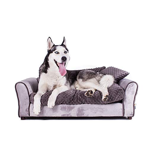 Keet Westerhill Pet Sofa Bed