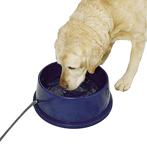 K&H Pet Products Thermal-Bowl Heated Dog Bowl