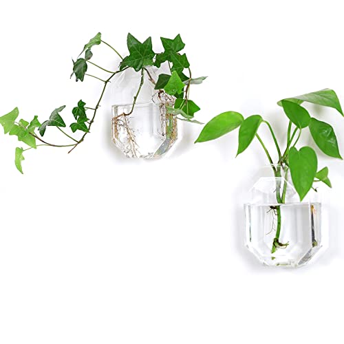 Kingbuy Glass Wall Planters - Stylish and Practical Home Decor