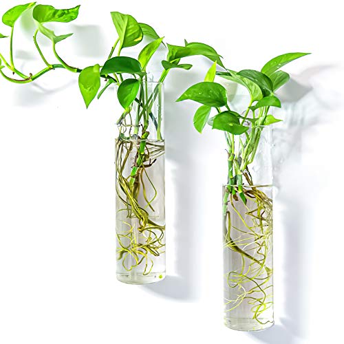 Kingbuy Wall Hanging Planter Glass Plant Propagation Station for Home Decor, Large Cylinder, 2 Pack