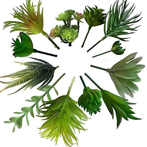 Kitchen Board Maniacs Mini Artificial Succulent Plants 12 PCS