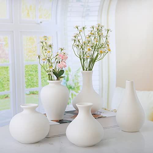 Koilria Ceramic Vase Set