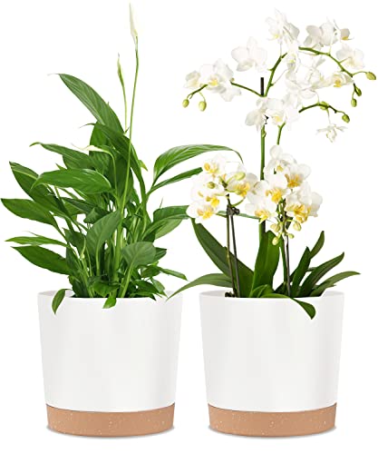 kubvici Indoor Planters, 8 Inch 2-Pack Flower Pots
