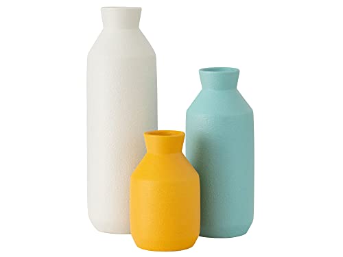 Labcosi Ceramic Vase for Living Room Decor