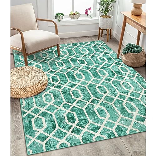 Lahome Soft 5x7 Geometric Rug