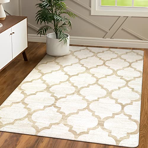 Lahome Washable Living Room Rug