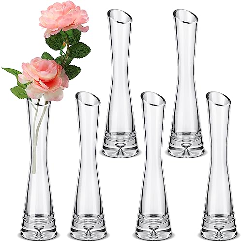 Lallisa 6 Pcs Tall Glass Vase