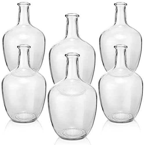 Large Clear Glass Vases Set