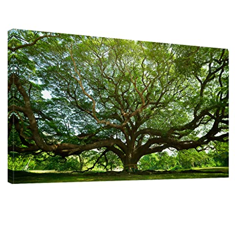 Large Nature Tree Canvas Wall Art