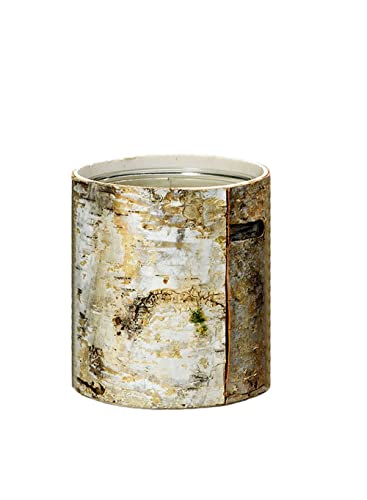 Large White Birch Bark Vase with Glass Interior