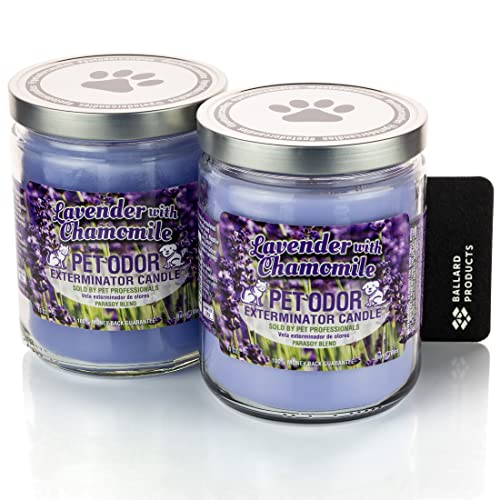 Lavender with Chamomile Scented Pet Odor Candle Bundle