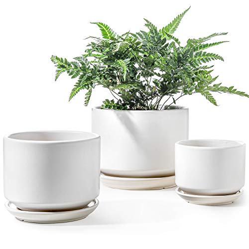 LE TAUCI Ceramic Plant Pots Set of 3