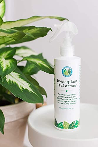 Leaf Armor - Leaf Shine Spray for Indoor Plants