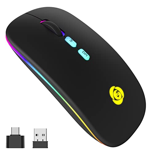 LED Wireless Mouse, Bluetooth Mouse &2.4GHz Instant Connection,Rechargeable Ultra Silent Slim,3 Adjustable DPI 2 Connection Modes with USB-C to USB Adapter for Laptop/MacBook/PC/Tablet/iPad (Black)