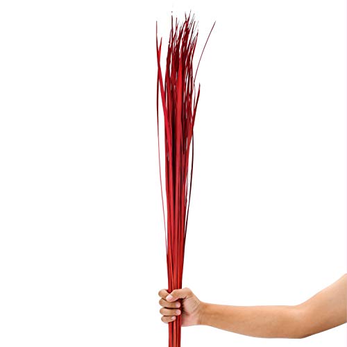 LEEWADEE Grass Stems - Decorative Branches for Vases