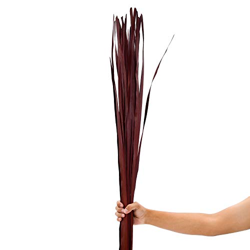 LEEWADEE Palm Leaves for Floor Vases
