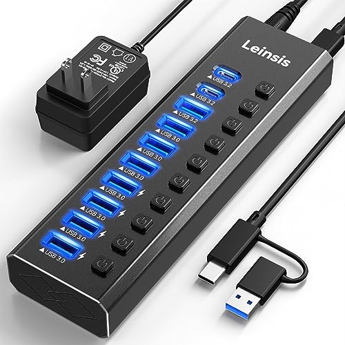 LEINSIS 10-Port Powered USB Hub