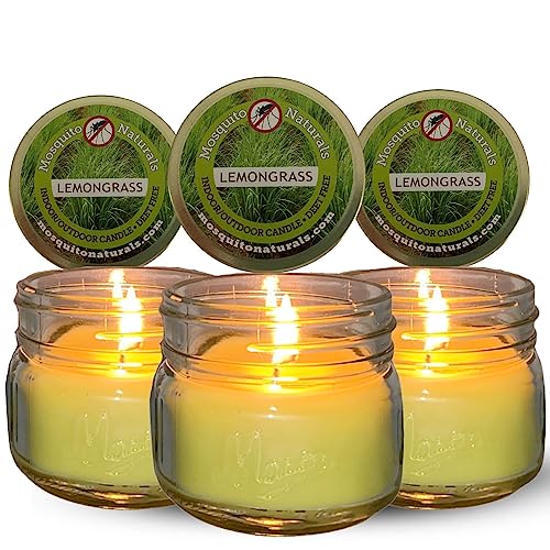 Lemongrass Candles with Essential Oils