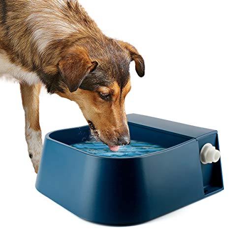 Lesypet Dog Automatic Water Bowl