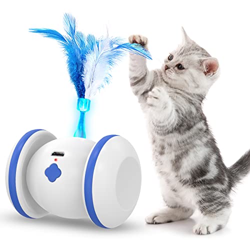 LiieyPet Interactive Cat Toy