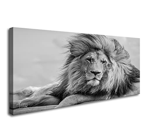 Lion Wall Art