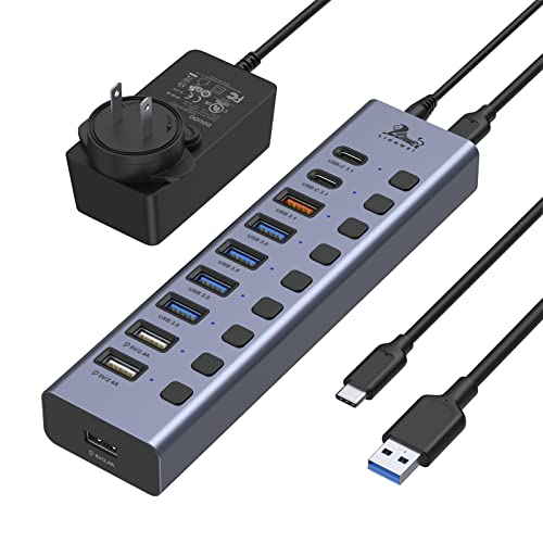 LIONWEI USB 3.1 Hub, 10 Port USB Splitter