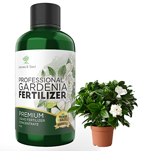 Liquid Gardenia Plant Fertilizer