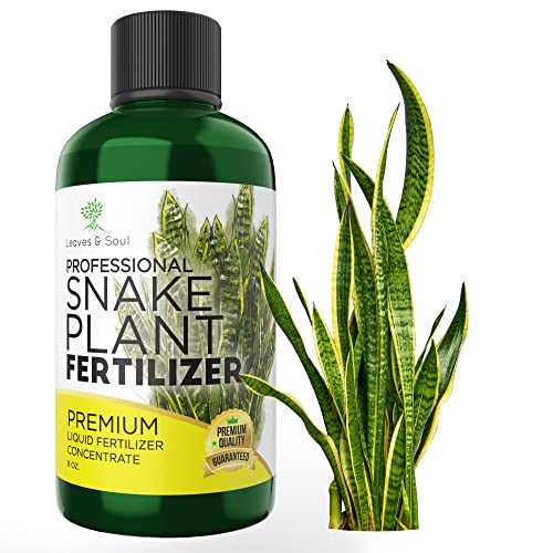 Liquid Snake Plant Fertilizer