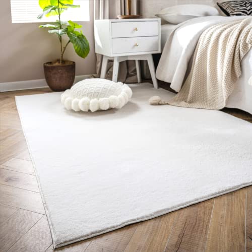 LIVEBOX Fluffy Soft Area Rug Carpet 4x6 Feet