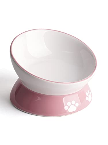 LoeJan Elevated Cat Food Bowl