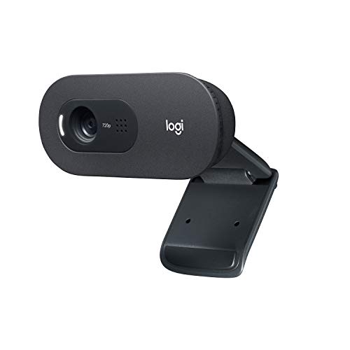 Logitech C505 Webcam