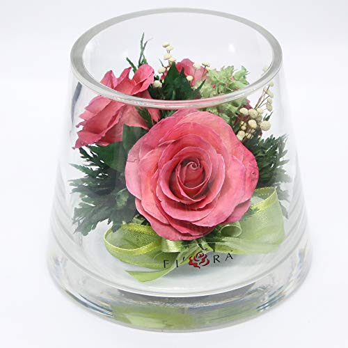 Long Lasting Fresh Cut Roses in Glass Vase