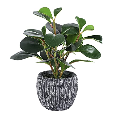 LORYDECO Artificial Potted Plants