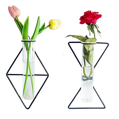 LoveCat Indoor Wall Planter - Geometric Terrarium