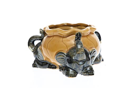Lucky Bamboo Decorative Assorted Round Elephant Pot/Planter l 4" Lucky Bamboo Vase l Chinese New Year Gift (A8016)