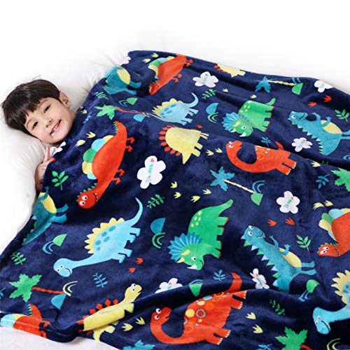 Lukeight Dinosaur Blanket