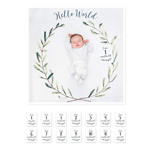 lulujo Baby's First Year Milestone Blanket