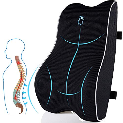 Lumbar Support Pillow