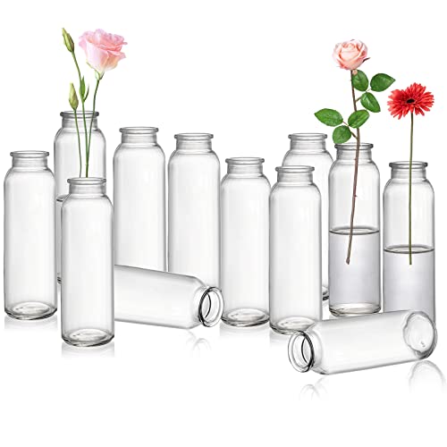 Lyellfe Set of 12 Glass Bud Vase - Elegant Vintage Flower Vases