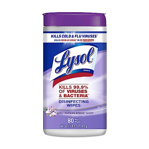 Lysol Disinfectant Wipes, Multi-Surface Antibacterial Cleaning Wipes, For Disinfecting and Cleaning, Early Morning Breeze, 80 Count